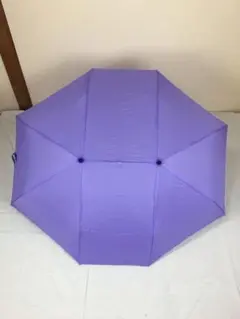 Item thumbnail for item 9823d0d5-049c-45fc-b0da-2189f5f23105