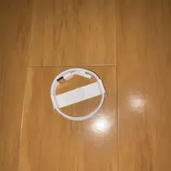Apple 純正 充電器