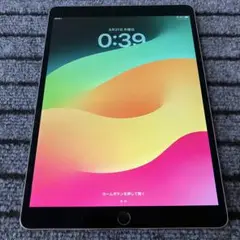 93【早い者勝ち】iPad Pro 10.5 512GB スペースグレイ