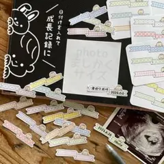 【シール】成長記録 ＊ マタニティ エコーアルバム 育児日記 母子手帳