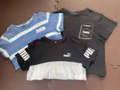 PUMA 半袖Tシャツ 2枚セット