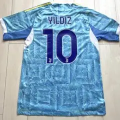 Item thumbnail for item 3fdb3580-f14f-4c82-bcb3-aa0430fba0cf