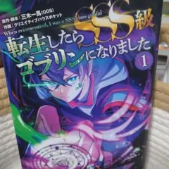 転生したらSSS級ゴブリンになりました = When reincarnated…