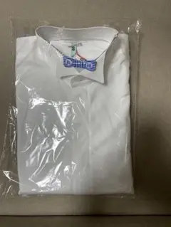 Item thumbnail for item 5b9bc79d-0c7e-4704-9301-e35bfe0993d9