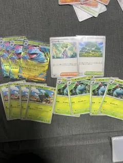 フシギバナセット売り