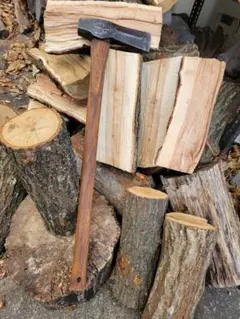 Item thumbnail for item d44008e1-c78f-4db7-9574-c3a9b38f8703