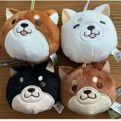 忠犬もちしば　フェイスマスコット　4コ コンプリート❸