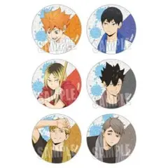 1BOX【新品未開封】ハイキュー!! トレーディング プール掃除ver.