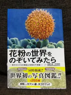 花粉の世界をのぞいてみたら : 驚きのミクロの構造と生態の不思議