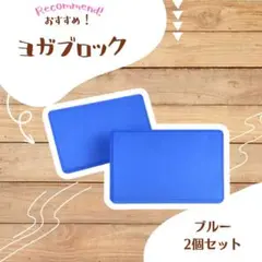 ブルー ストレッチ 軽量 ポーズ ヨガ ピラティス 【2個セット】ヨガブロック