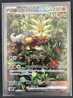 ウガツホムラEX 230HP ポケモンカード