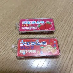 フエラムネ　ミニチュアおもちゃ　第2弾