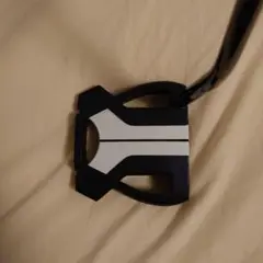 テーラーメイド スパイダーX 34インチ