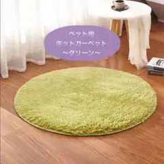 Item thumbnail for item 35d98c92-a0a1-45d0-bf48-108e81403881