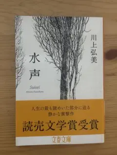 水声