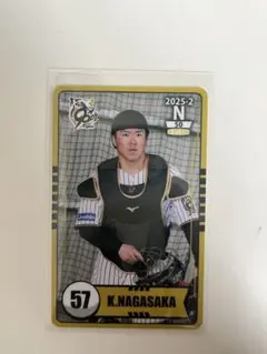 Item thumbnail for item 6d1021c3-747a-46c6-bf3d-26945e7b6b4e