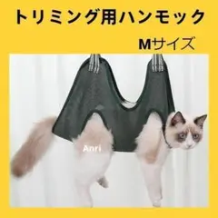 Item thumbnail for item 1375fc4d-2b54-43cf-949a-6ef07c2e35b0