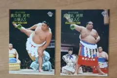 BBM2001大相撲カード貴乃花-武蔵丸土俵入り①