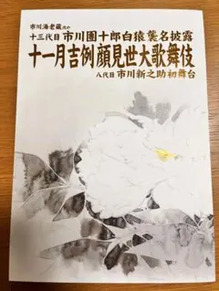 市川團十郎白猿襲名 十一月吉例顔見世大歌舞伎 筋書 パンフレット 勧進帳 助六