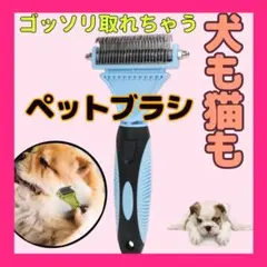 Item thumbnail for item 6852324b-9a24-46ad-a026-56c3b72da6ce