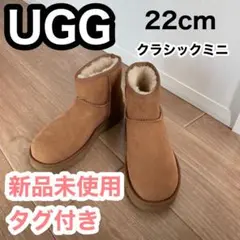 【新品未使用】UGG クラシックミニ 22cm