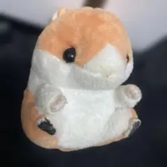 ハムちゃん