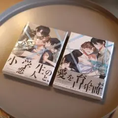 【上.下2冊セット】ぼくらの一線 延長線 上.下 雁方ひのの