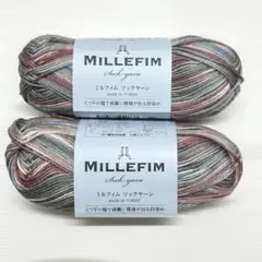 MILLEFIM ミルフィムソックヤーン 2玉　No.2 段染め