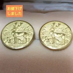 Item thumbnail for item 387591d0-5f56-46a1-8d61-0b2626aeb93f