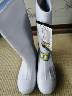 Item thumbnail for item f024f6bf-c426-4bc0-9ba2-b5ef2dc84277