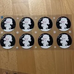 カプラ♡３枚