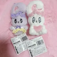 エスバニ　セット