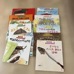 ちいさなかがくのとも　１２冊セット　福音館書店
