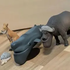 シャクレルプラネット2　４点セット