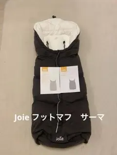 Item thumbnail for item 233447d4-2970-4492-ae32-dc40dafaa551