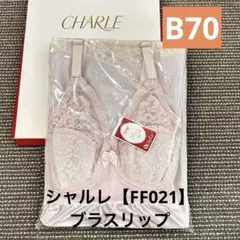 Item thumbnail for item 9383ed52-90ec-46c7-b700-338a1ef891b2