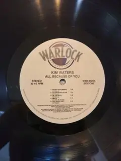 Kim Waters All Because of You LP