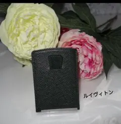 極美品 ルイヴィトン タイガ カードケース