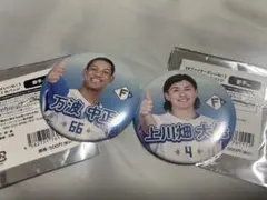 【万波中正、上川畑大悟】ファイターズいいね！シークレット缶バッチ