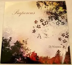 DJ NOZAWA / Piapercus(7インチレコード)