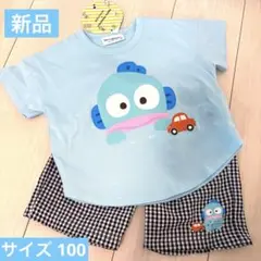 サンリオ ハンギョドン セットアップ