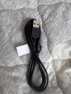 ウォークマン 充電ケーブル 黒