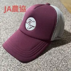JA北つくば　キャップ　メッシュ　フリーサイズ