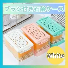 Item thumbnail for item 9d1142ab-bf75-4644-a836-a9b910298888