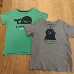 パタゴニア Tシャツ 2枚セット 4T＆5T