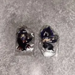幽遊白書 飛影 鴉 アクリルキーホルダー