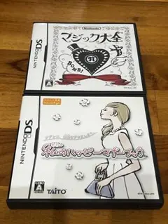 ニンテンドーDS ゲーム2本セット