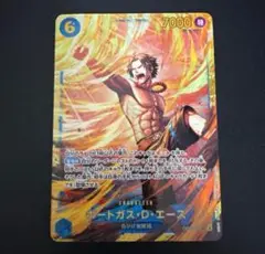 ポートガス・D・エース　シークレット