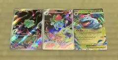 御三家　３枚セット (ar rr)