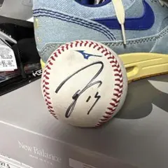 ヤクルトスワローズ 17 清水 サインボール